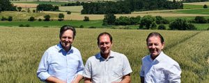 Ernte 2022 voraussichtlich im Plus