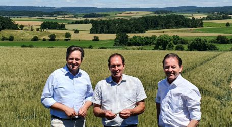Ernte 2022 voraussichtlich im Plus