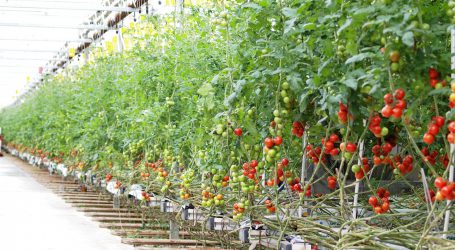 Neue Fachmesse in Dortmund