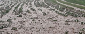 Neuerliche Unwetterschäden in Kärnten
