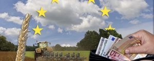Einkommen der Landwirtschaft gestiegen