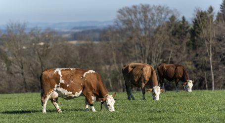 Bio-Fachtagung für Grünland und Milchvieh