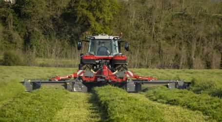 Mähen und Schwadern mit Massey Ferguson