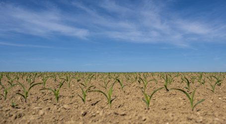 Lockerungen bei Fruchtfolge und Landschaftselementen