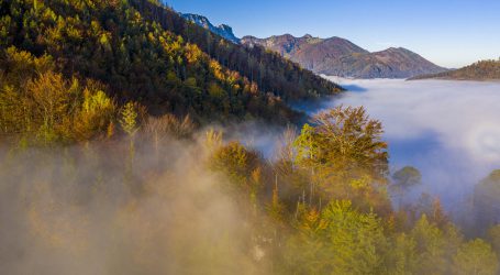 Waitz sieht Agrarausschuss am Holzweg