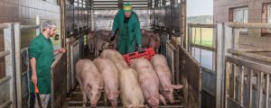 Covid-19 Unterstützung gelangt zur Auszahlung