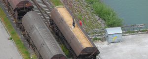 Ukraines Sojaexporte im Juni stabil