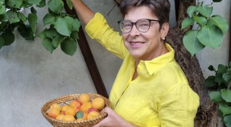 Sommer im Glas von Michaela Sommer