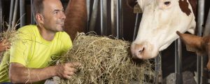 Strasser: Tierhalter treten bei Tierwohl in Vorlage