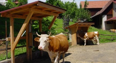 ÖKL-Merkblatt zur Haltung behornter Rinder