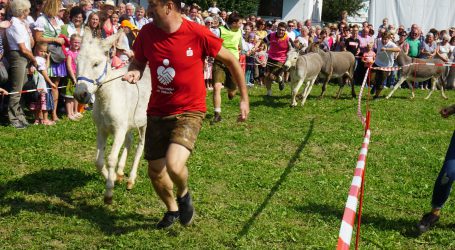 Legendäre Rottal-Schau in Karpfham geht los