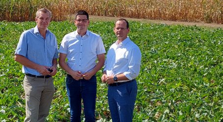Optimismus auf AGRANA-Feldtag in Grafenegg