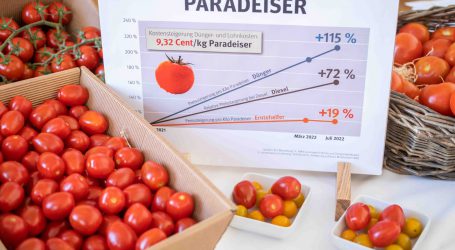 Hochsaison für Lieblingsgemüse der Steirer
