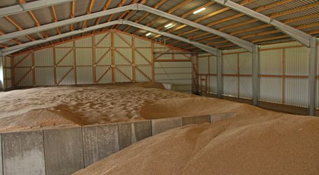 Endlagerprognose für Weizen abgesenkt