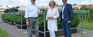 Pestizide biologisch degradieren