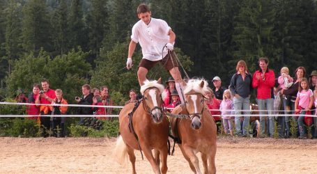 Fest der blonden Pferde in Annaberg