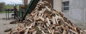 Titschenbacher setzt bei Biomasse auf Trilog