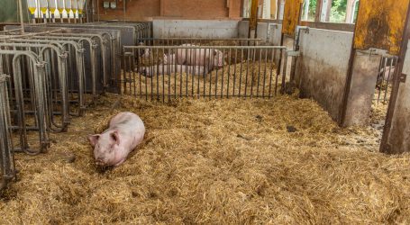 Totschnig stolz auf Bio-Spitzenposition