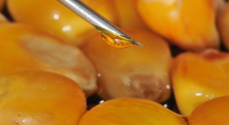 Studie der Grünen über Interessenskonflikte