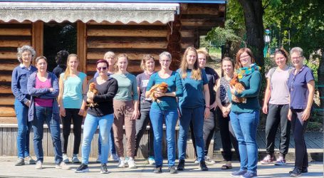 A³ – Animal Assisted Activities made by LFS Hollabrunn