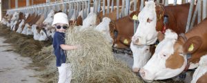 Tag der offenen Bauernhoftür