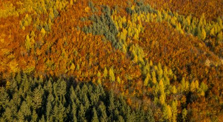 Thomas Waitz beklagt Desinformation