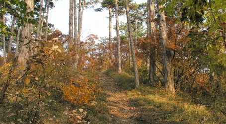 Moosbrugger zu Mountainbike-Netzausbau