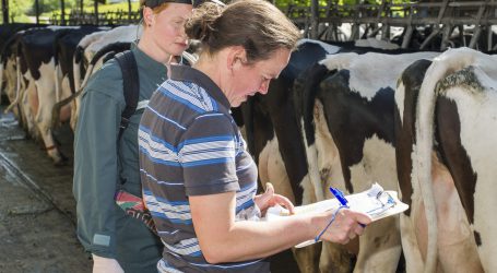 Veterinär-Uni Wien in Budgetnöten