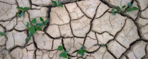 Österreich erhöht Nahrungsmittelhilfe