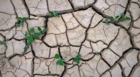 Österreich erhöht Nahrungsmittelhilfe