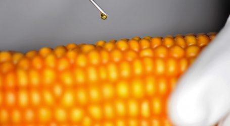 Waitz ermahnt zu Vorsorgeprinzip