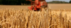 Arche Noah unterstützt Patentgesetz-Novelle