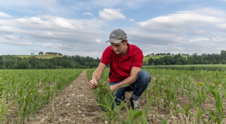 Bauernbund begrüßt Patentgesetznovelle