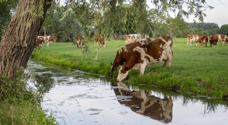 McDonald´s und die heimische Landwirtschaft
