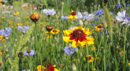 EU bei Reduktionszielen gesprächsbereit