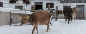 Früheres Aus für dauernde Anbindung besiegelt