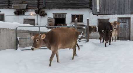 Früheres Aus für dauernde Anbindung besiegelt