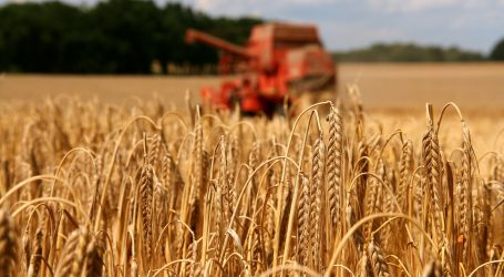 Balaya® – Wellness fürs Getreide, Entspannung für Sie!