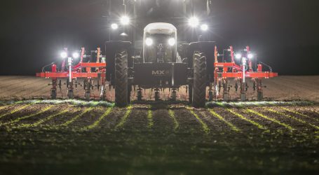 Unkrautregulierung jetzt noch g´scheiter