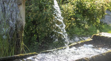 Wassergütebericht bereit zum Herunterladen