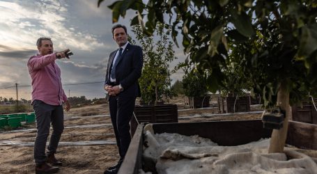 Israel bei Agrartechnologien führend