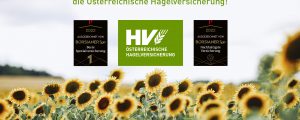 Hagelversicherung die beste und nachhaltigste Versicherung