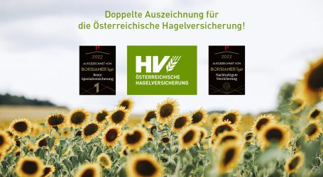 Hagelversicherung die beste und nachhaltigste Versicherung