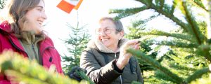 Christbaumstände ab 12. Dezember offen