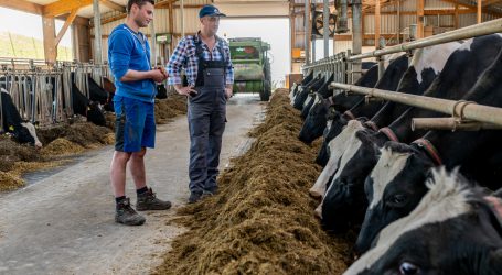 UBV-OÖ versagt LK-Budget Zustimmung