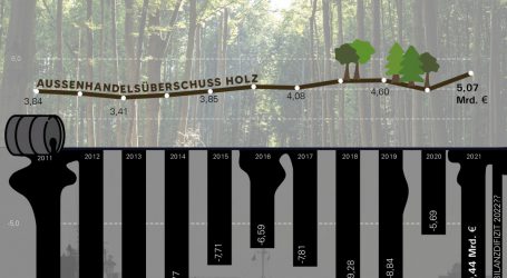 Ohne Holz keine Energiewende