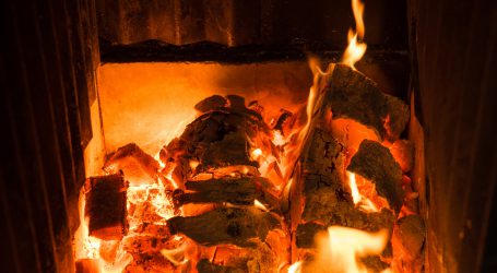 Kritik der Kritik an der Holzenergie