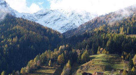 Schutzwald im Wandel – Praxistag