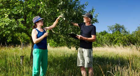 Arche Noah begrüßt Biodiversitätsstrategie