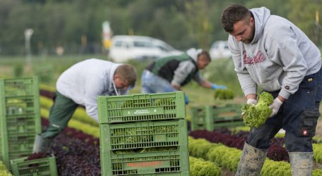 Moosbrugger verteidigt Anstieg der Bauerneinkommen